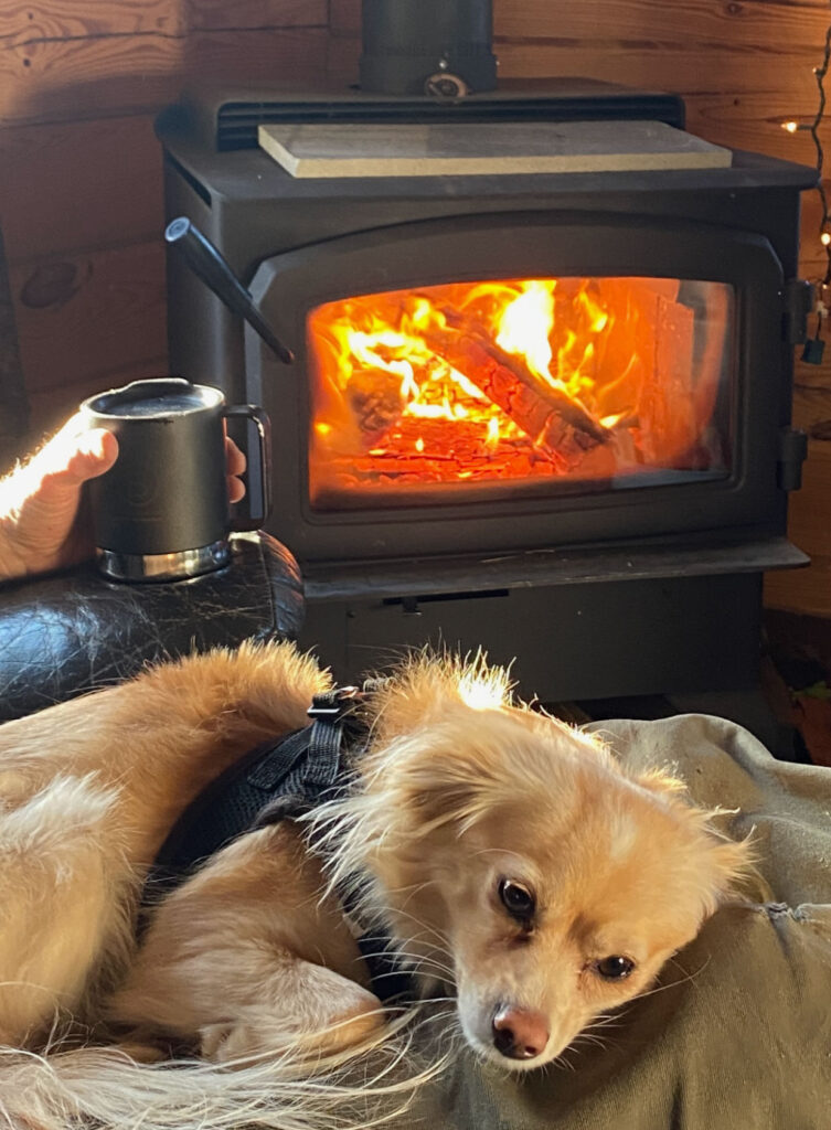Dog